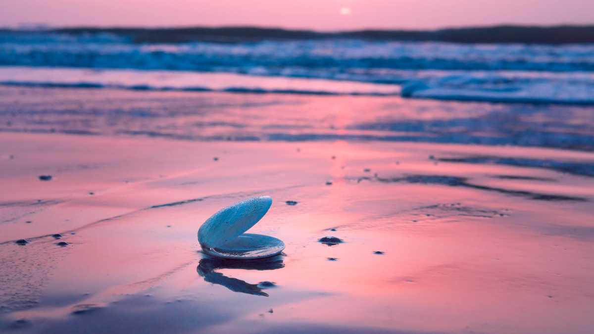 Scopri le Spiagge Più Belle di Montenero di Bisaccia