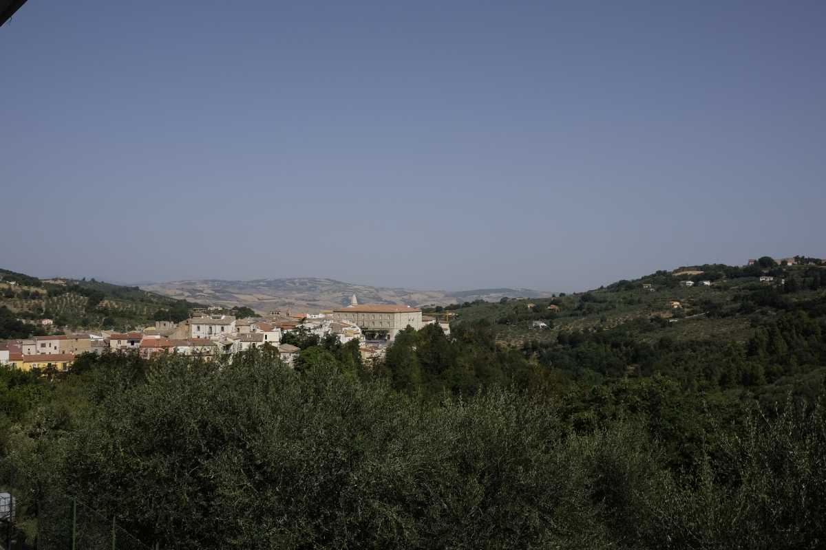 Immagine dei carri di San Pardo durante la festa, con la folla festante