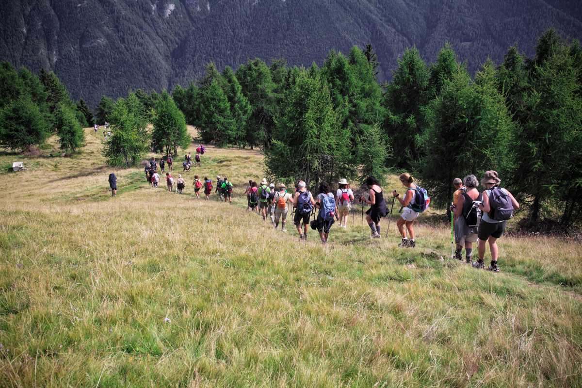 Vista panoramica di Sepino, evidenziando il paesaggio naturale e i resti archeologici